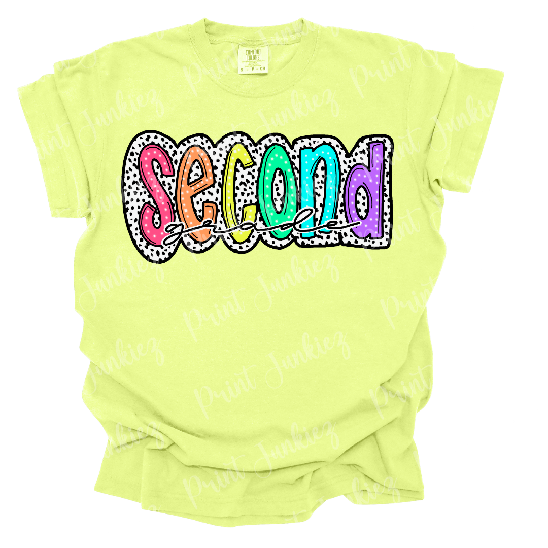 Second Grade Dalmatian Colorful