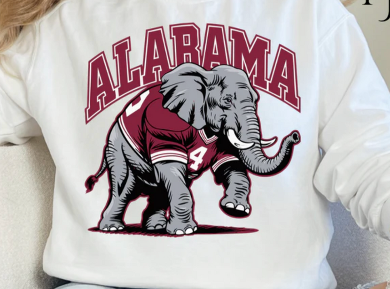 COLLEGIATE