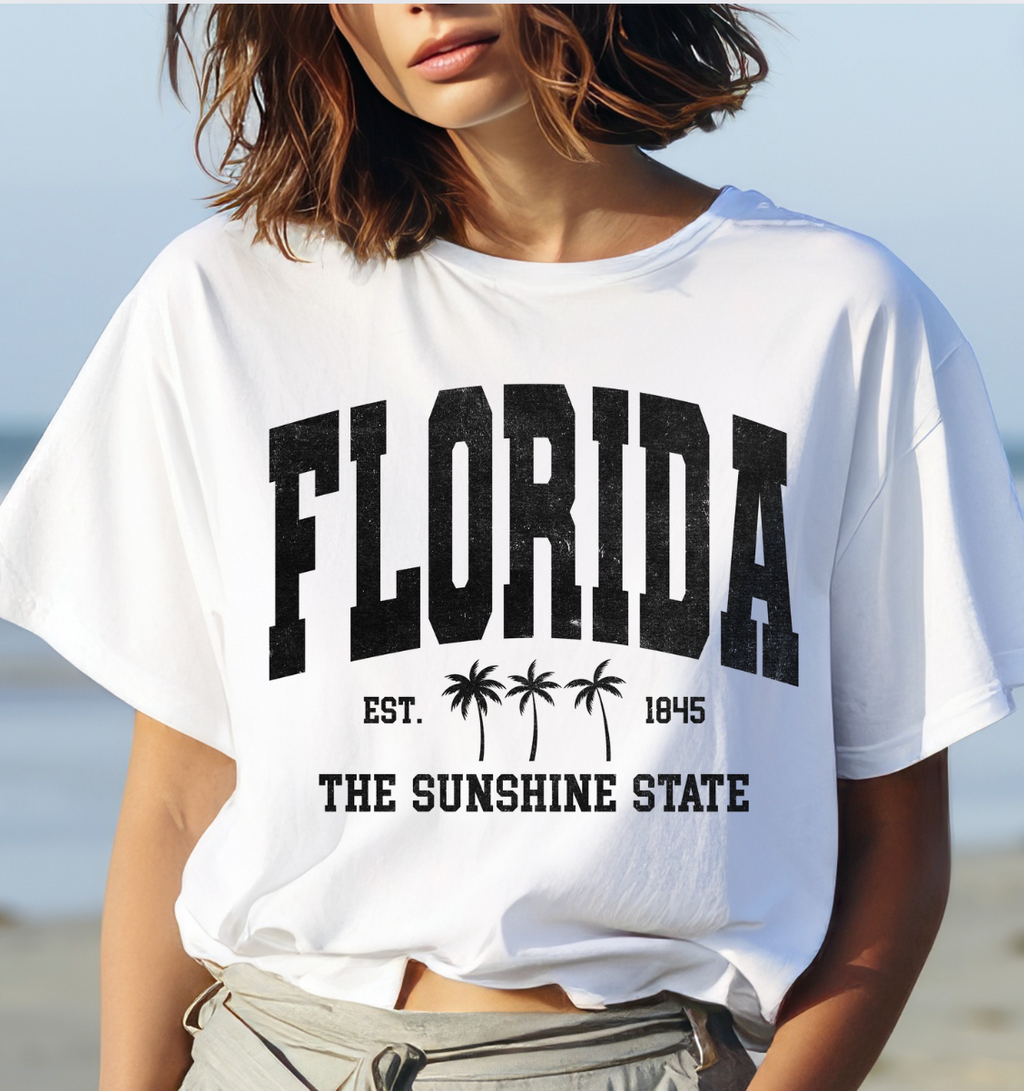 Florida the sunshine state