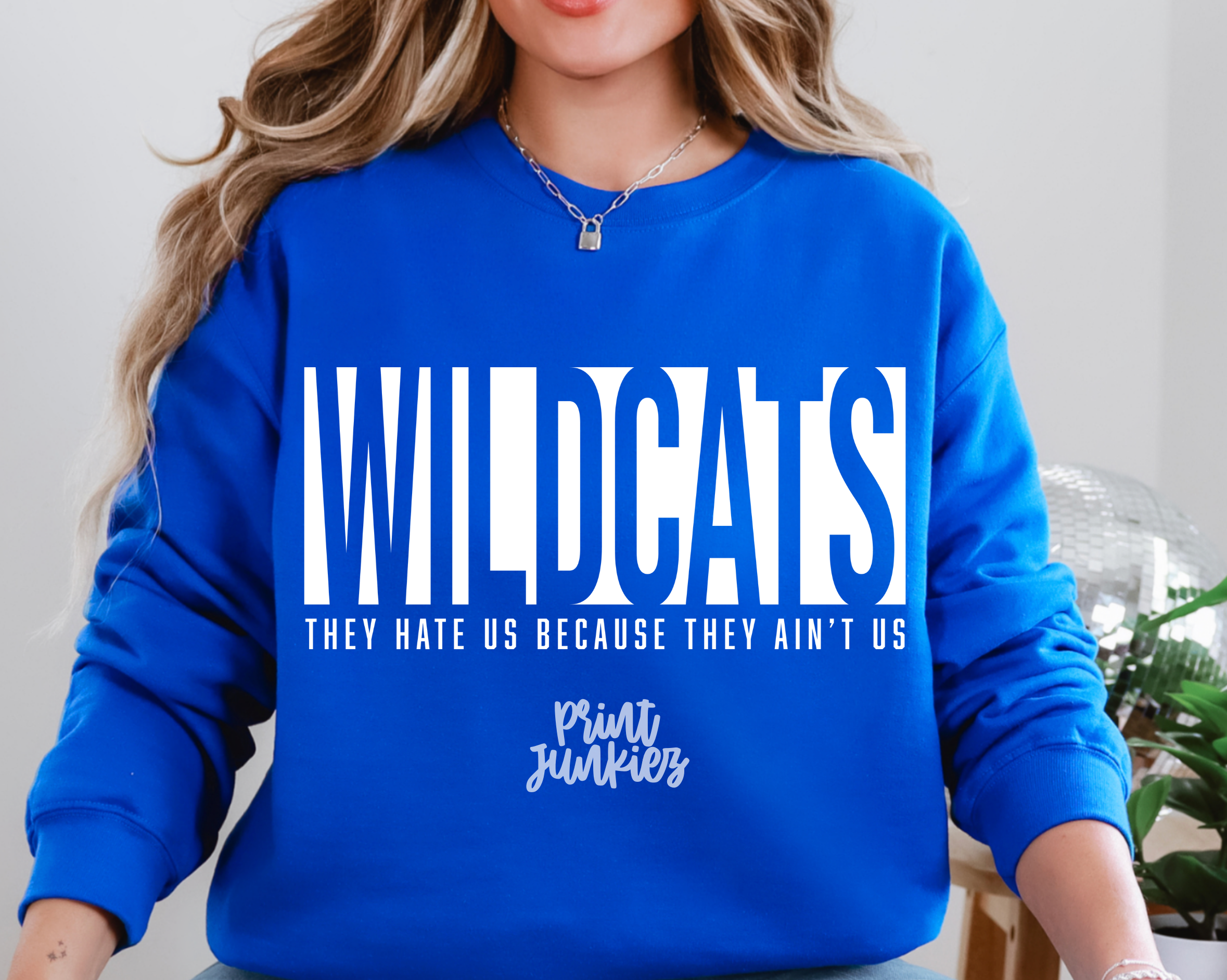 Wildcats They Hate Us Because They Ain't Us - DTF