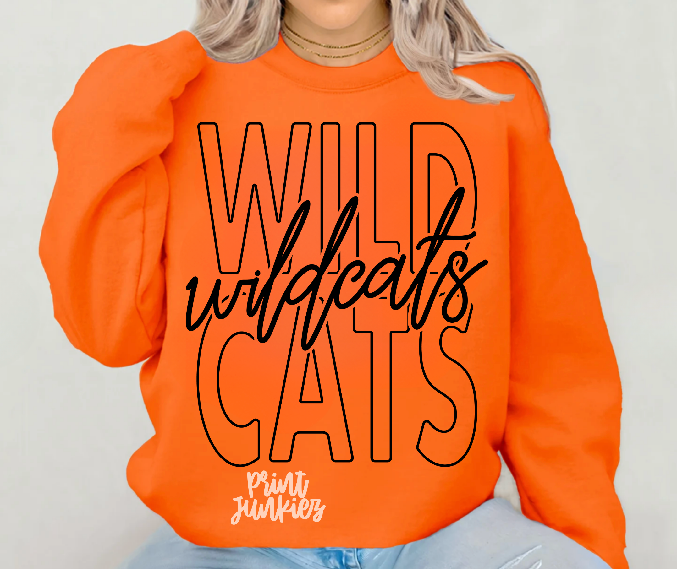 Wildcats Outlined - DTF