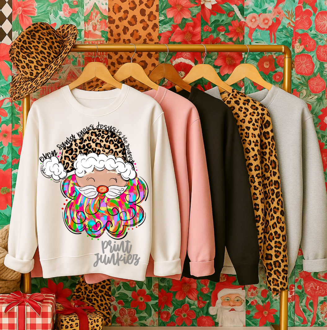 Even Santa Knows Jesus is the Reason - DTF