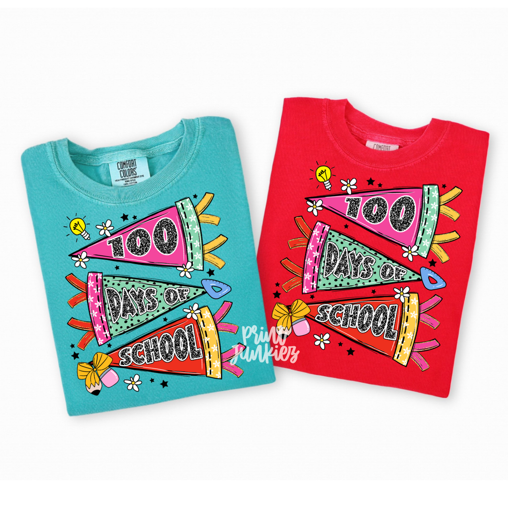 100 Days of School Banner - DTF